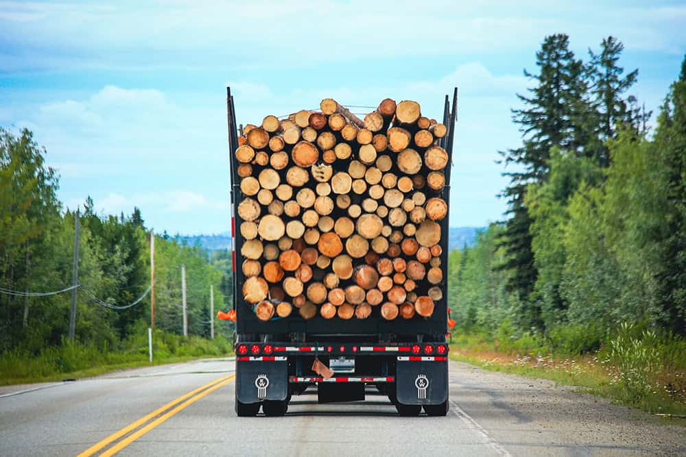A truck carrying logs down a road. | Unlimited Solutions
