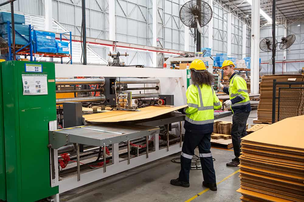 Two workers in a factory with cardboard boxes. | Unlimited Solutions